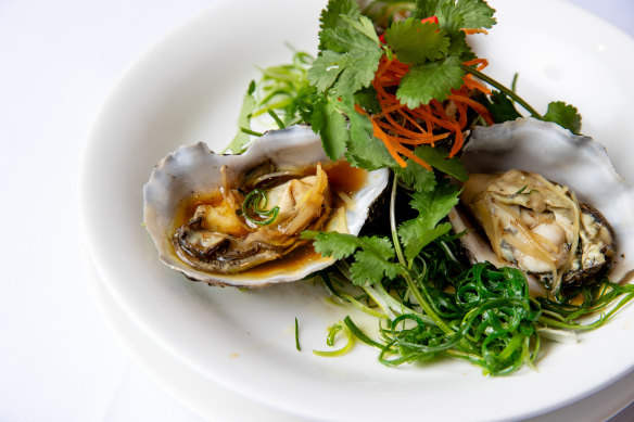 Plump, extra-large steamed oysters with ginger and spring onion.