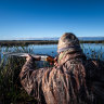 Feathers ruffled: Unions vow to shut out Labor if duck hunting banned
