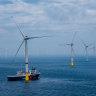 There she blows: Mega Southern Ocean wind farm zone unveiled