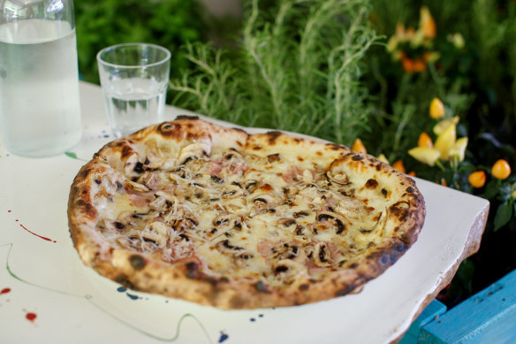 Boscaiola pizza with fresh cream, fior di latte, ham, mushrooms, parsley and parmesan.