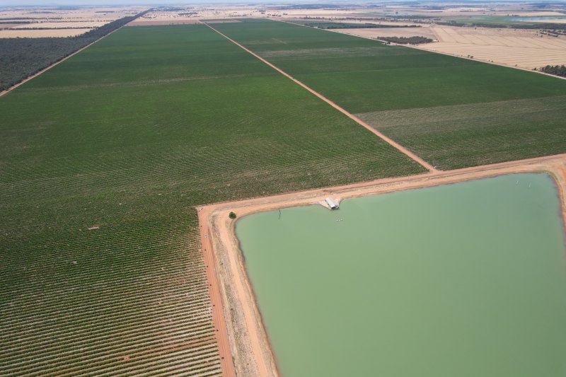 Costa family backs $120m raising for Riverina almond project