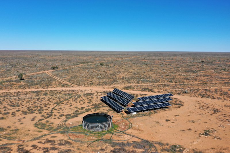 UK billionaire buys 700,000-hectare WA sheep station amid buying spree