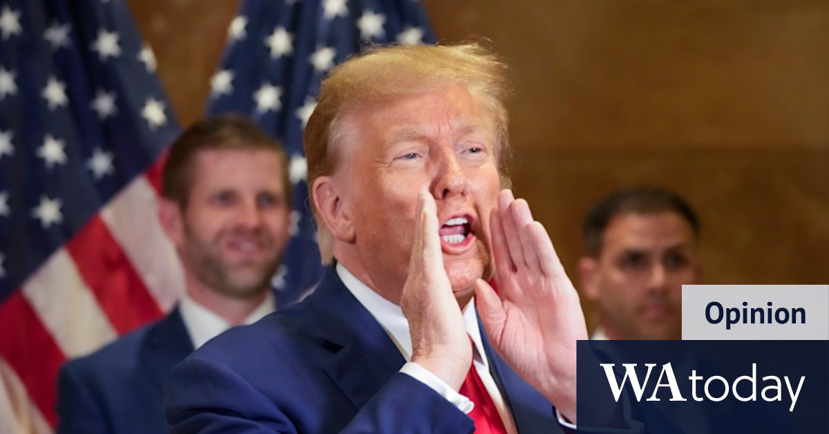 US election 2024: If Trump wins it will be because of democracy - Vimarsana News