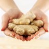 Ginger is a popular spice for Christmas cooking - and good health.
