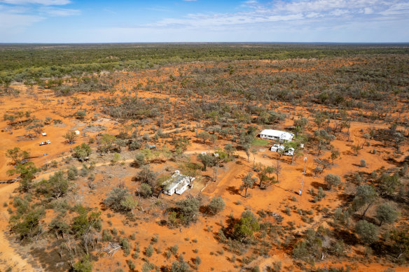 Using mulga forests to save carbon is under fresh scrutiny.