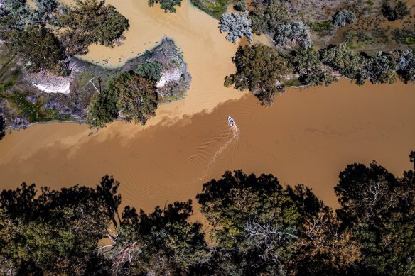 Water from Emu Lake mixes with the darker deoxygenated water in the Darling River.