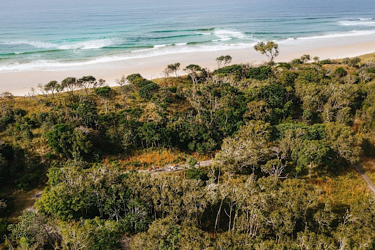 Zephyr Horses, Byron Bay.