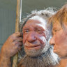 Seafood gourmands: Researchers say Neanderthals knew how to fish