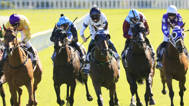 Race-by-race preview and tips for Wellington on Sunday