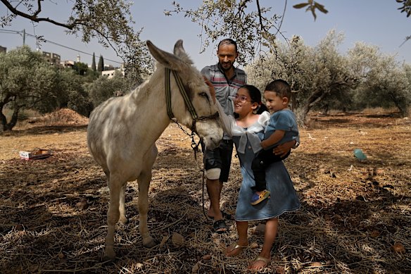 Mohamad Maale, who was shot in the leg by the Israeli military during a settler attack in June, in his olive grove in his home town of Beita, with his daughter, Tala, and son, Ali. 