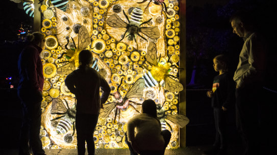 The city will light up for Vivid Sydney 2019.