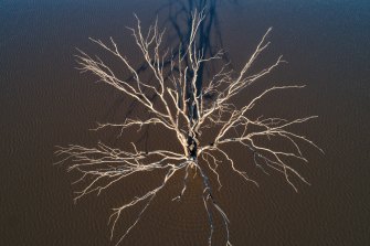 Narran Lakes near Brewarrina in north-west NSW has had its biggest inflow since 2013 but the area remains drought affected. 
