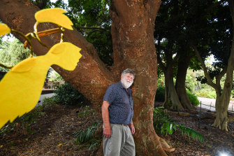 Clive Blazey has launched a new book about trees encouraging Australians to plant trees that sequester carbon if they want to save the planet and stop warming.