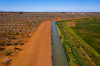 New plantations of nut farms near Tabitta in the NSW Riverina.