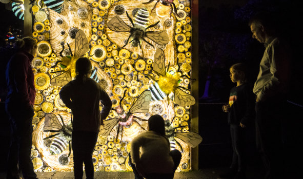 The city will light up for Vivid Sydney 2019.