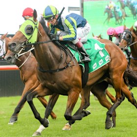 Luvaluva wining the Kembla Grange Classic.
