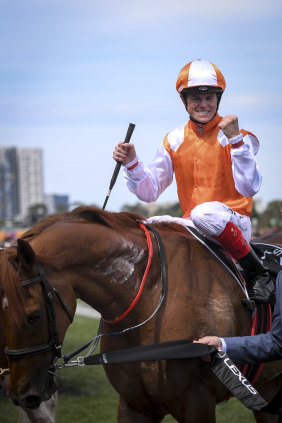 Vow And Declare returns to scale after winning the 2019 Melbourne Cup