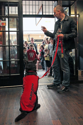 With producer Nelson Woss, Koko prepares to meet his fans while promoting Red Dog. 