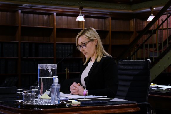 Amy Brown, Secretary of the Department of Enterprise, Investment and Trade, during the inquiry.