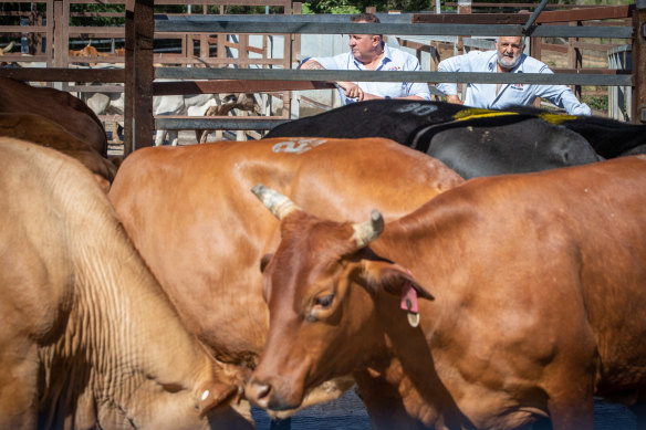 China says it has suspended imports of beef from Meramist Pty Ltd.