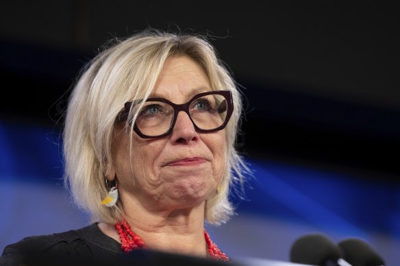 In an address to the National Press Club on Wednesday, Rosie Batty described “the deep tunnel of numbness and unbearable pain” her body and mind would enter after her son’s death.