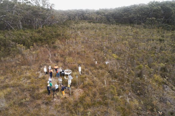 An aerial image of a swamp in the Metropolitan Special Area. Underground coal mining is causing subsidence, triggering the loss of surface and groundwater, drying out some regions.