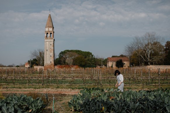 Venissa’s casual Osteria Contemporanea overlooks extensive kitchen gardens.