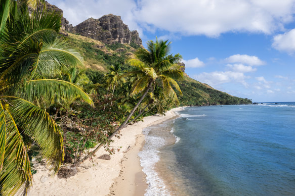 The beach is overhung by a forest of natural palms.