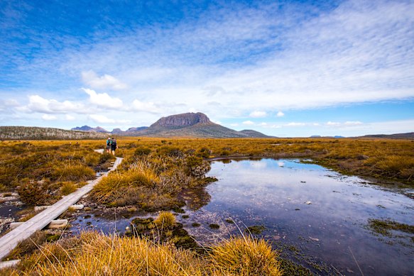 Part of the Overland Track near the Pine Forest Moor.