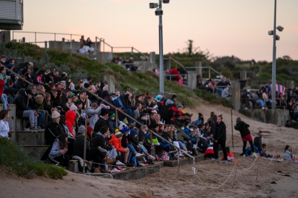 Crowds at the penguin parade. 