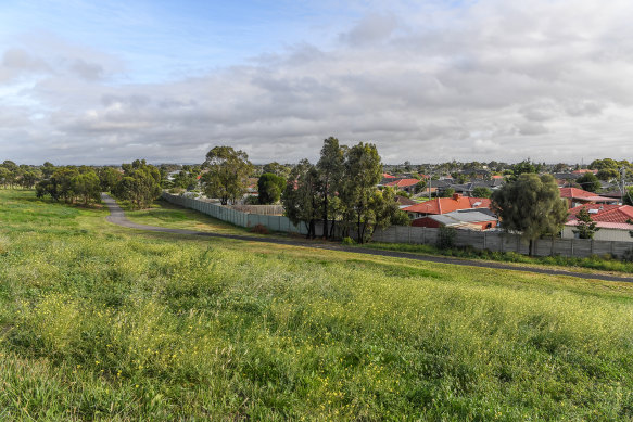 The grassland behind Denton Avenue in St Albans.
