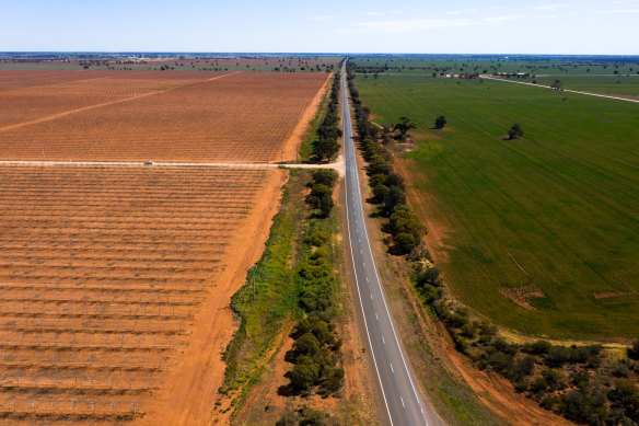 A walnut farm near Tabitta in the NSW Riverina. Perennial crops, such as nuts, can typically outbid dairy and some other annual crops such as rice.
