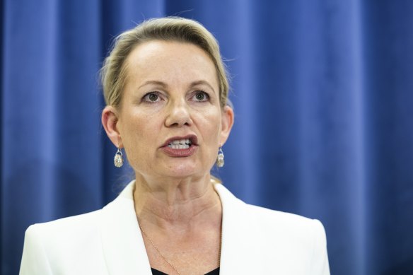 Deputy Opposition Leader Sussan Ley has concerns the Voice could have a “de facto veto role” in changing Australia Day or Anzac Day.