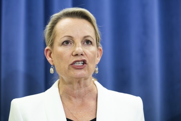 Deputy Liberal leader Sussan Ley wants Prime Minister Anthony Albanese to deal with issues in the aged care sector.