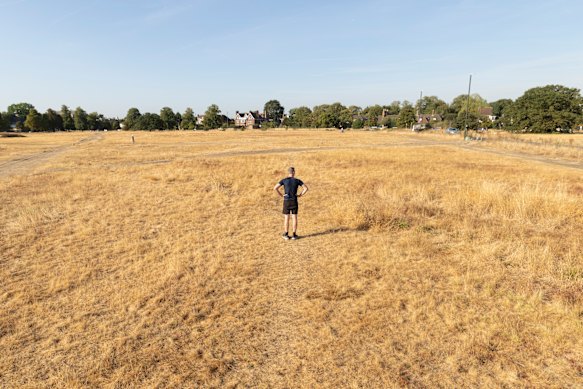 A man stands in a parched field in Wimbledon and Putney Commons in Wimbledon, England. The National Drought Group has declared that two-thirds of England is now officially in drought.