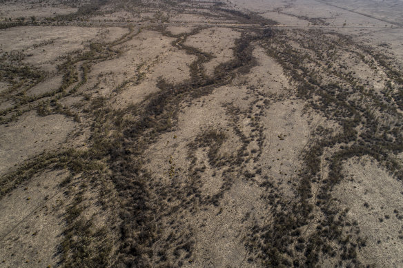 Dry times ahead: a parched Macquarie River tributary within the Macquarie Marshes of north-western NSW in August last year.