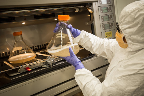 Mylinh La at CSIRO's vaccine manufacturing facility.