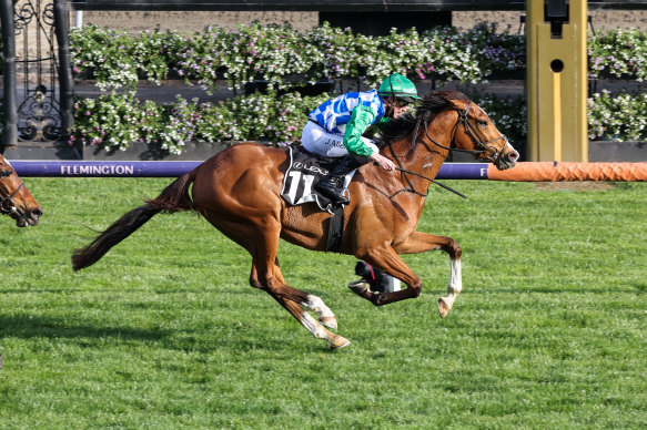 Grand Promenade races to victory in The Bart Cummings at Flemington on Saturday.