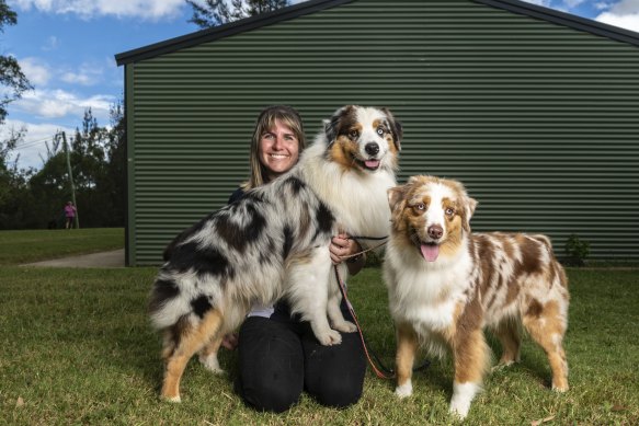 Australian shepherd breeder Laura Meagher with Pryze (blue) and Tag (red).
