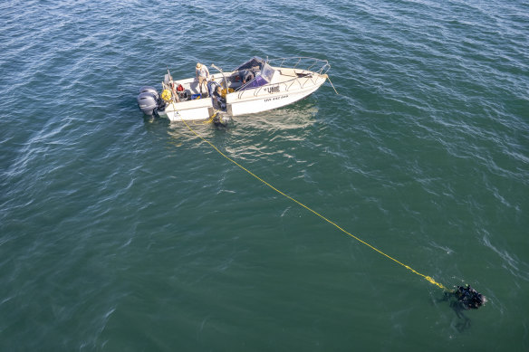 Divers working off a 35-year-old retired abalone boat. 