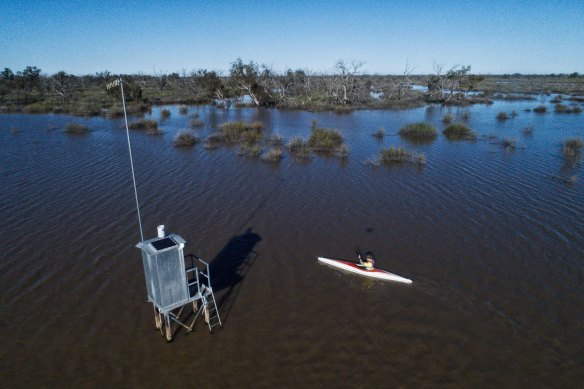 NSW National Parks and Wildlife Service team leader Peter Berney paddles near a water-monitoring device in Narran Lake earlier this month.