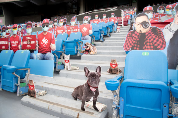 Four-legged fans were also represented among the cardboard cutouts.