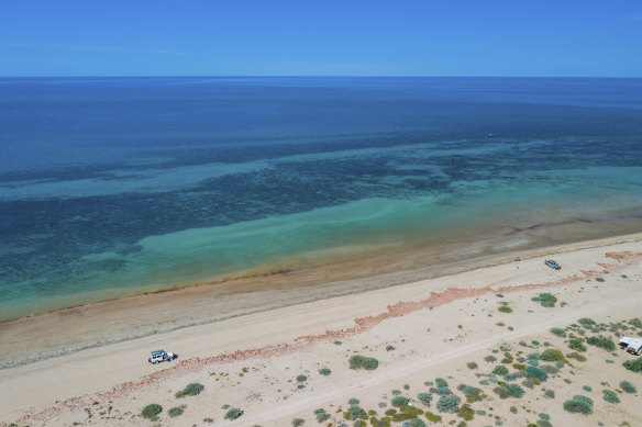 The state government has postponed a decision on creating wider protection in the Exmouth Gulf, environmentalists say.