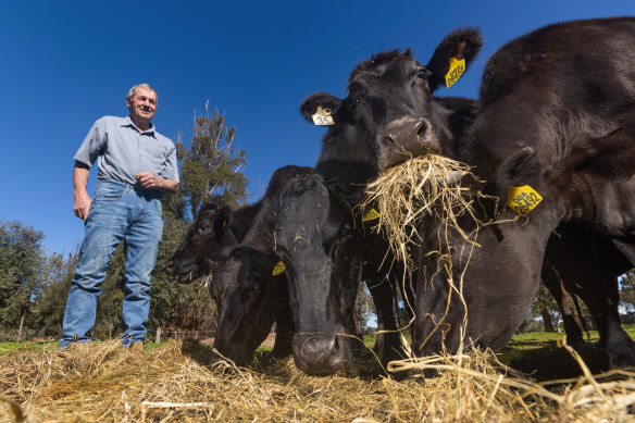 Bill Sykes on his farm in Benalla. 