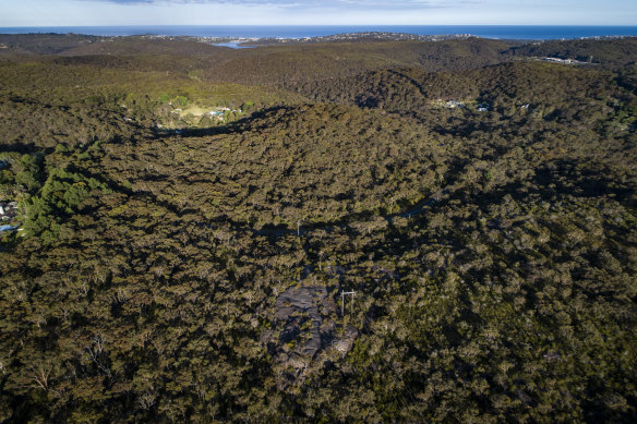 Bushland at Lizard Rock near Belrose, where the Metropolitan Local Aboriginal Land Council wants to develop housing.