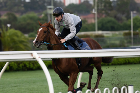 Jamie Spencer scouts the outside fence in Light Infantry’s last hit out at Canterbury on Tuesday morning.