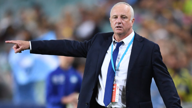 Graham Arnold will coach the Socceroos after the World Cup.
