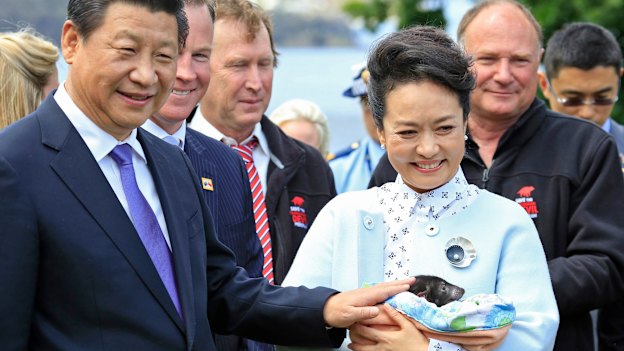 The 2014 visit to Hobart by Chinese President Xi Jinping and Madame PengLiyuan (pictured with a Tasmanian devil) spurred a flood of Chinese tourists.