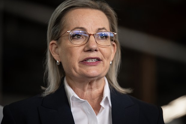 Opposition Leader Sussan Ley to shore up leadership with shift to defence  after climate change and immigration stance