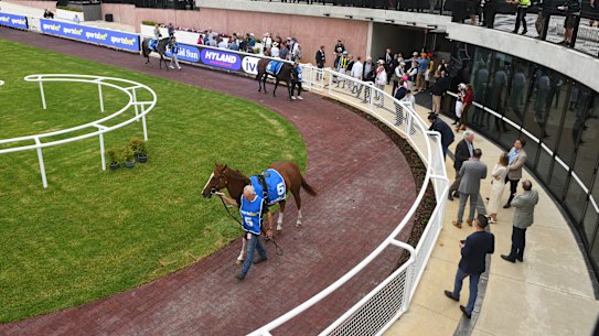 Melbourne Racing Club has endured a turbulent few months.